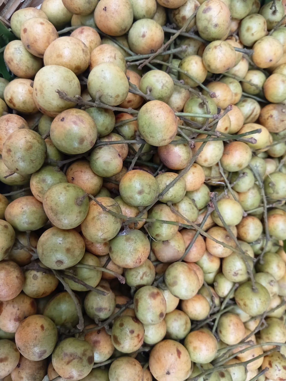 Pendant \ লটকন 1kg