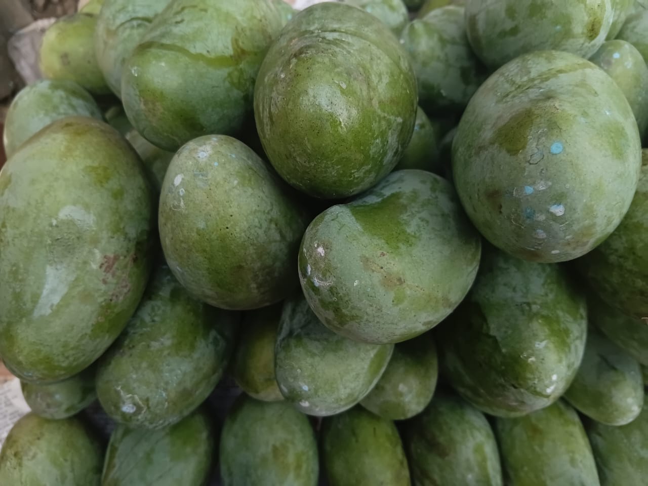 Amrapali Mango \ আম্রপালি 1kg